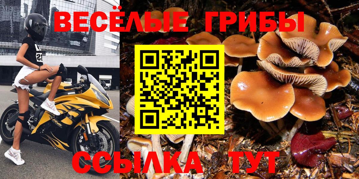 Псилоцибиновые грибы Magic Shrooms  Псилоцибиновые грибы мухоморы  Вход с VPN  Гуково 